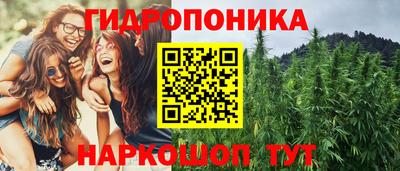 МДПВ Лесосибирск