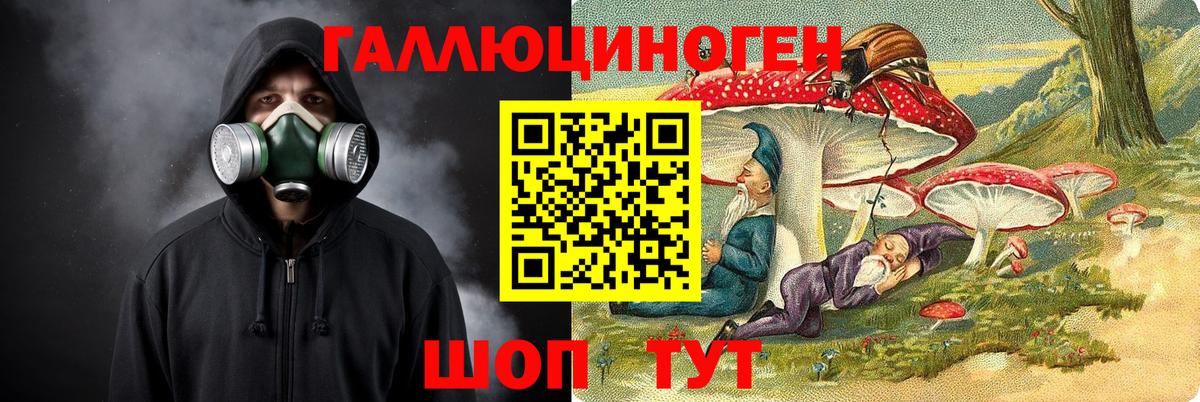 Тайшет  Галлюциногенные грибы мухоморы  Вход с VPN  Галлюциногенные грибы ЛСД 