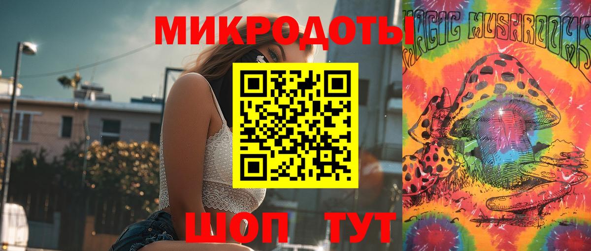 Псилоцибиновые грибы Cubensis Тайшет
